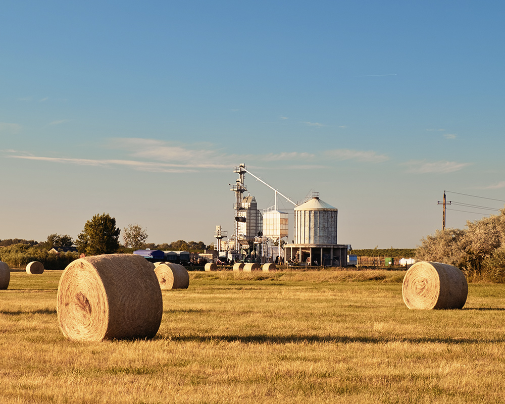 Farmland